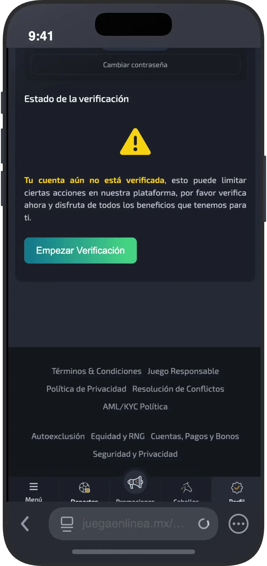 Pantalla de verificación de cuenta con documentos en revisión